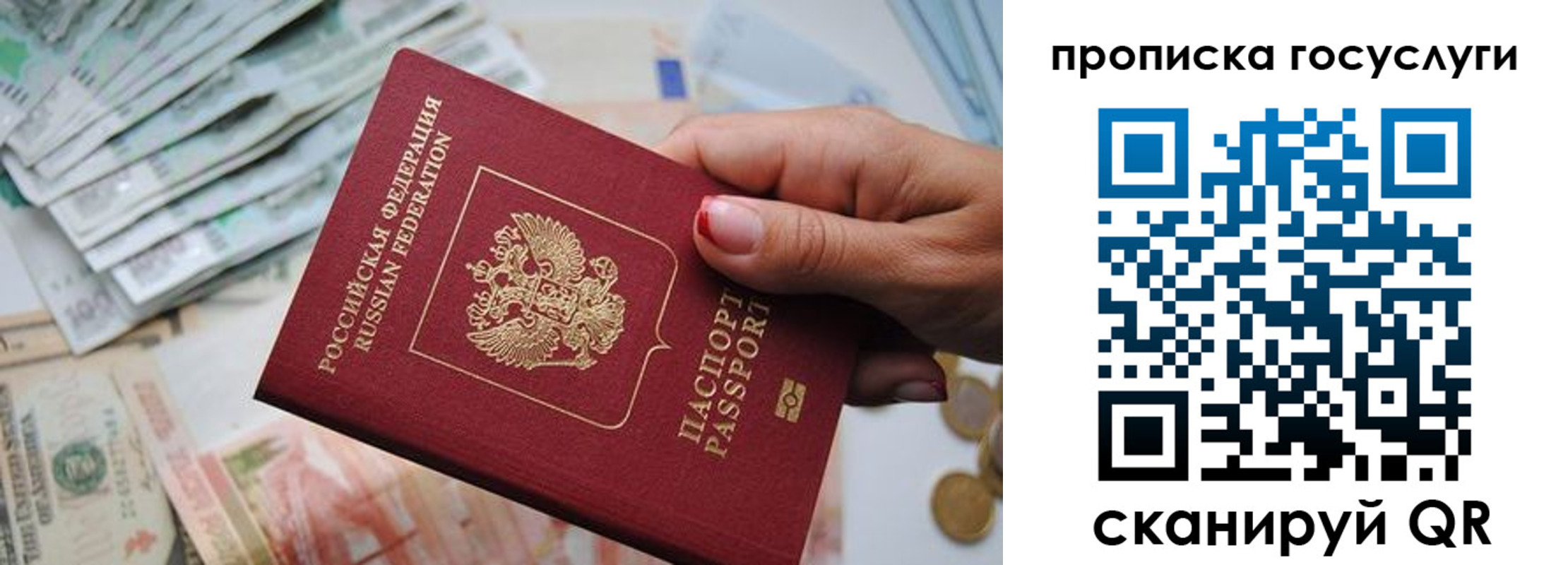 прописка поиск в Чечне